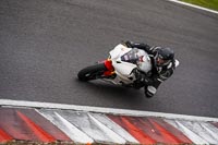 Middle Group White Bikes